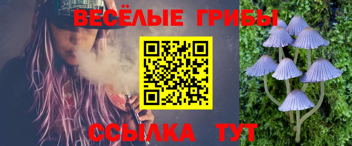 Псилоцибиновые грибы GOLDEN TEACHER Касимов