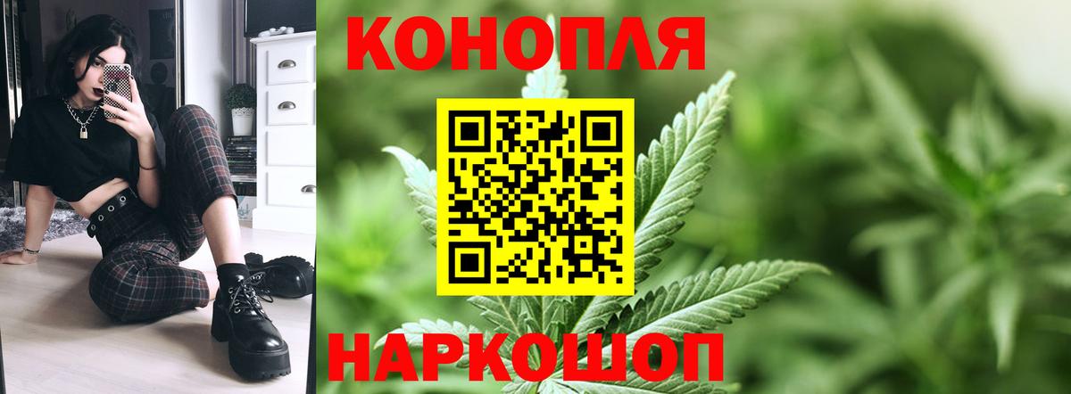 Бошки марихуана план Касимов